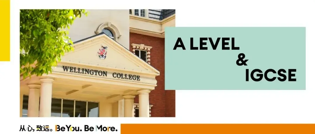 A*高分霸屏，全面超越英国本土成绩:  A Level与IGCSE考试成绩公布